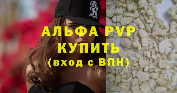 PSILOCYBIN Аркадак