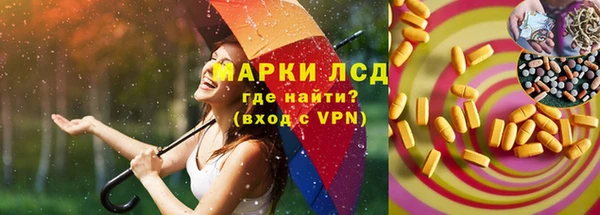 PSILOCYBIN Аркадак